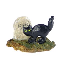 Black cat in front of a tombstone