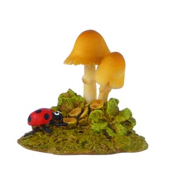 Ladybug looks at Irish toadstools